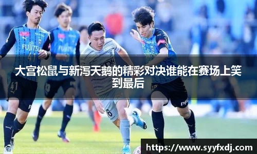 大宫松鼠与新泻天鹅的精彩对决谁能在赛场上笑到最后